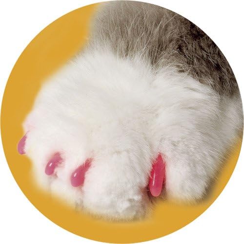 cat claw caps amazon