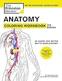 ANATOMY COLORING WOR