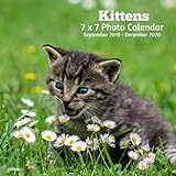 Kittens 7 X 7 Photo Calendar September 2019 -December 2020: Monthly Calendar with U.S./UK/ Canadian/ by