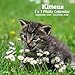 Kittens 7 X 7 Photo Calendar September 2019 -December 2020: Monthly Calendar with U.S./UK/ Canadian/ by
