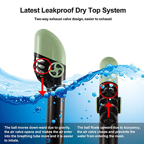 Letsport Upgraded Full Face Snorkel Mask for Adults Kids, Anti-Leak Anti-Fog Snorkeling Mask with Latest Dry Top System, Detachable Camera Mount, Earplug, Folding 180 Degree Panoramic View Diving Mask