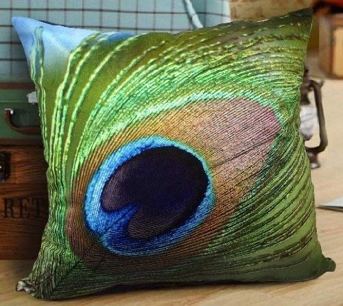 Fablegent JC788 - Elegant Decorative Throw Pillow Cover - Peacock Feathers Design on Both Sides - Velvet Fabric (16