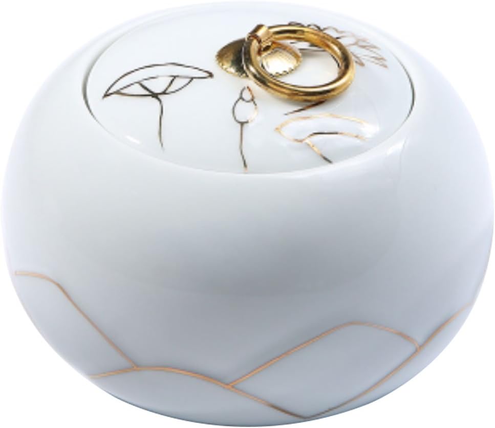 LUNA VOW Japanese Ceramics Tea Canister Traditional Tea Caddy (A30)