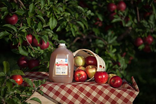 Kauffman's Homemade Fresh Apple Cider, Frozen for Shipping, Appr. 0.9 Gallon (Pack of 2)