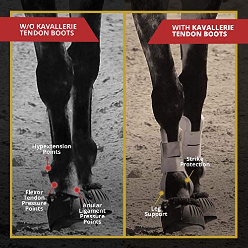 Kavallerie Classic Tendon Boots, Impact-Absorbing Material, Breathable & Evenly Distribute Pressure, Protect Tendon and Ligaments, Anti-Slip, Anti- Sore and Moisture Repellant Show Jumping Boots - Thumbnail 6