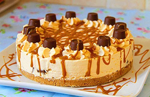 Nice-Compponents Springform Pan(7 Inch)/Cheesecake Pan/Leakproof Cake Pan Bakeware 8 Quart for Instant Pot Accessories, Silicone Sealing Ring 8qt, Fits IP-DUO80 - Thumbnail 6