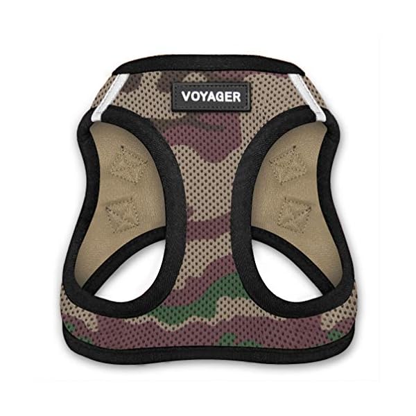 Online Yorkie Clothes and Accessories Store Yorkie Clothing