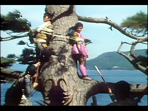 Amazon Co Jp 変身忍者 嵐を観る Prime Video