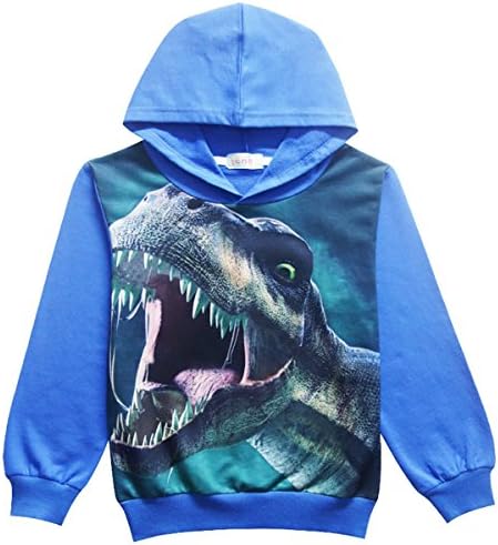 GRAGON VINES Boys Toddler Hoodie Dinosaur Cool Trendy Tshirt Hot Tops Long Sleeve Sweatshirt For Kids