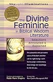 The Divine Feminine in Biblical Wisdom Literature: Selections Annotated & Explained (SkyLight Illuminations)