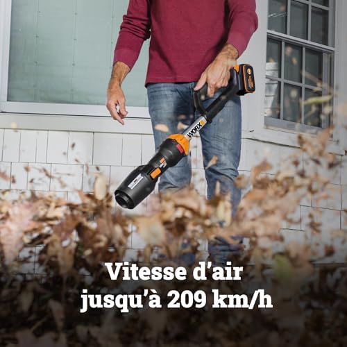 Souffleur Brushless sans Fil 20V WG543E.9