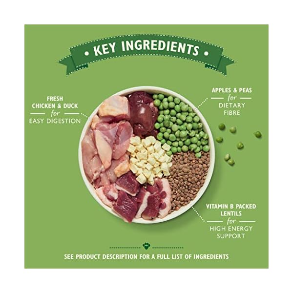 Lilys-Kitchen-Chicken-Duck-Sweet-Potato-Countryside-Casserole-Natural-Grain-Free-Complete-Adult-Dry-Dog-Food-25-kg Lily's Kitchen Chicken, Duck and Sweet Potato Countryside Casserole Natural Grain Free Complete Adult Dry Dog Food (2.5…