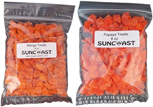 suncoast sugar gliders