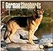German Shepherds 2015 Square 12x12 (Multilingual Edition)
