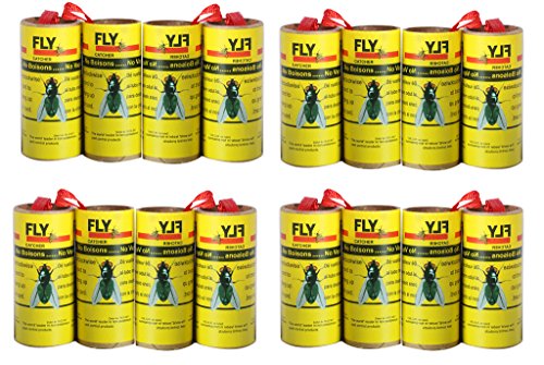 HouseGuard Sticky Fly Ribbons, Fly Catcher Ribbon - 16 Pack (Best Glue For Ribbon To Paper)