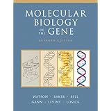 Molecular Biology of the Gene