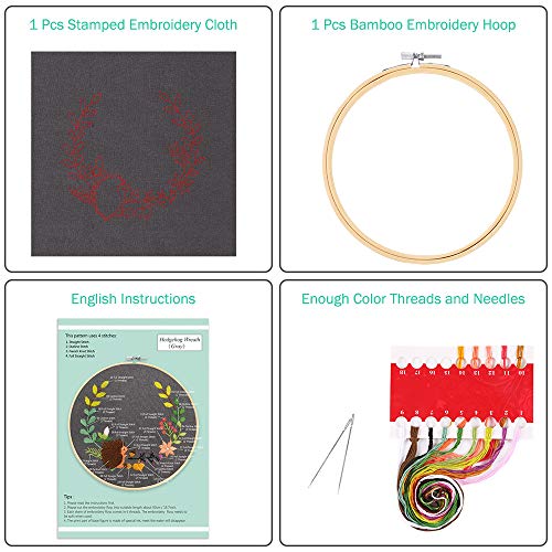 Caydo Full Range Embroidery Starter Kit with Pattern and Instructions