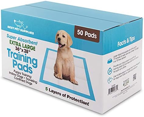 best dog training pads
