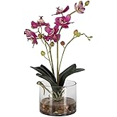 Uttermost Glory Orchid - Planter-13 Inches Tall and 11.25 Inches Wide