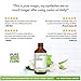 Pure Castor Oil, 2 oz. Best 100% USDA Organic Cold Pressed Moisturizer For Hair, Face, Skin and Nail Growth - Guaranteed