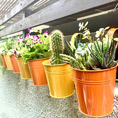 LaLaGreen Rail Planter
