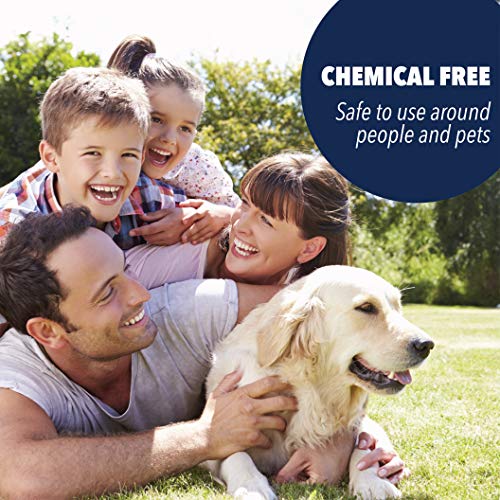 3 Caravan+Overnight+Sensor+Tank+Cleaner