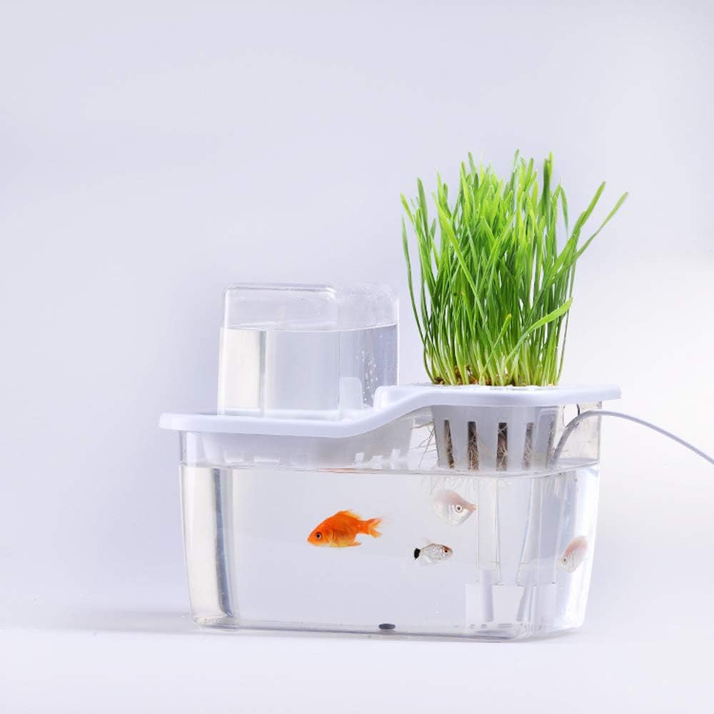 CHEYAL Water Garden Fish Tank,Hydroponics Growing System. Fish Tank With Organic Aquaponic Sprouts And Herbs Aquarium Starter Kit.
