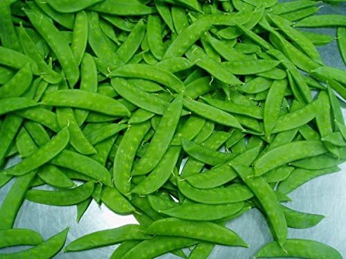 1/4 lb - Dwarf Sugar Grey Snow Pea, Heirloom,vegetable Seed, NON-GMO , Organic !