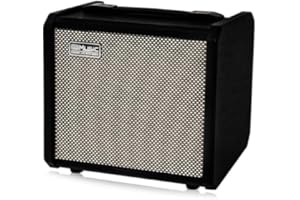 TS20 Bass Combo Amp -20W Suitable for Bass Guitar…
