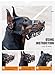 KITAINE Dog Muzzle, Soft Breathable Rubber Basket Muzzle for Dogs Small Medium Large Dogs Muzzle to Stop Biting Chewing Barking, Lightweight Adjustable Muzzle Allow Dog Drinking Panting (M)