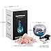 Salt Lamp YunYiSmart Hand Carved Himalayan Salt Lamp, Dimmer Switch, Glass Container No rusted No corroded (5.5 lbs,UL-Listed,2 Bulbs Included)