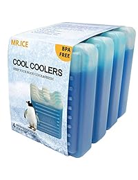 Paquete de refrigeradores de hielo para cajas de a