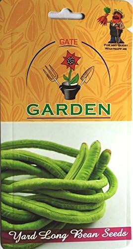 Gate Garden Yard Long Bean Seed