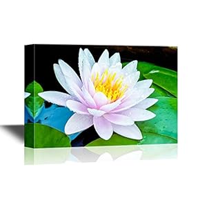 Canvas Wall Art - Pink Color Water Lilly and Water Drop - Gallery Wrap Modern Home Art | Ready to Hang - 12x18 inches