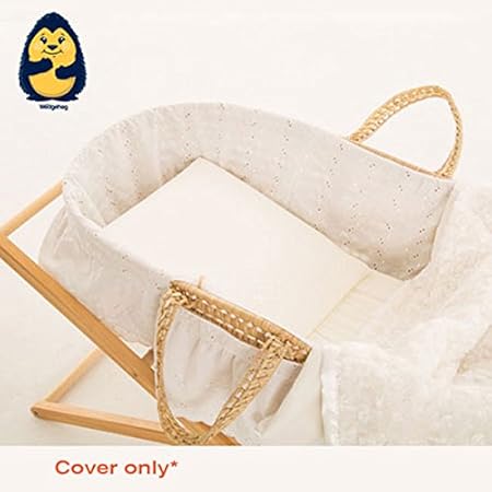 tilting moses basket for reflux