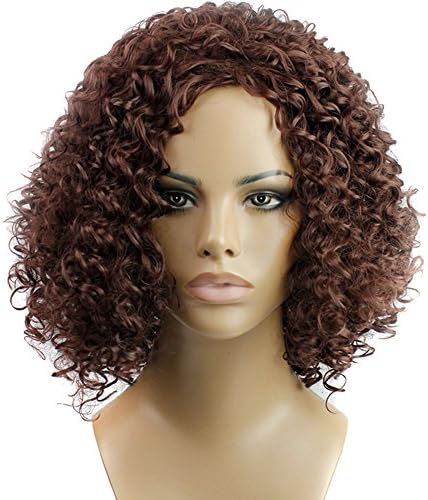 LeyeeBob Short Hair Afro Kinky Curly Wigs Fluffy Hair Synthetic Fiber Wigs for Black Women (Dark auburn (33#))