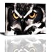 PIY Owl Wall Art with Frame, Owls Picture Canvas Prints for Bedroom, Animals Wall Décor Paintings, Waterproof, 1