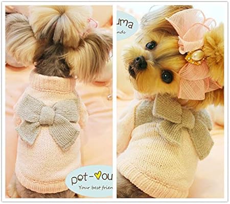 teacup puppies clothes