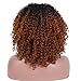 ELIM Ombre Brown Wigs for Black Women Short Afro Wig Kinky Curly Wig Realistic Looking Heat Resistant Full Wigs Z114