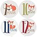 Fox Monthly Baby Stickers, Woodland, Baby Gift, Milestone Stickers, Baby Boy
