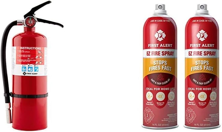 First Alert Fire Extinguisher | Designer Home Fire Extinguisher, Pewter, 2.5 lb, DHOME1 FE1A10GR: Home Improvement