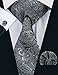 Barry.Wang Black and Grey Tie Set Silk Neckties Formal