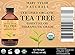 Organic Tea Tree Oil, Large 4 oz USDA Certified Organic, 100% Pure Essential Oil, Therapeutic Grade, Melaleuca alternifolia by Mary Tylor Naturals