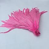 Shekyeon 13-16inch 33-40cm Rooster Coque Tail Feather for costume decoration pack of 20 (Pink)
