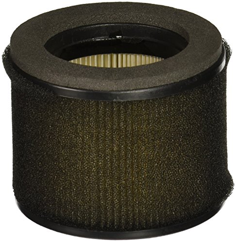 Stens 100-018 Kawasaki 11029-0019 Air Filter Combo