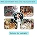Dog's Chew Toy Dogs Teeth Cleaning Toy [Bite Resistant][Non-Toxic Soft Rubber]Jakpak Dog Chew Toys and Teeth Cleaning Toy for Aggressive Chewers Funny Rotary Rubber Gear Toy for Dogs Red