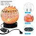 COOWOO Smart Wireless Salt Lamp,Works with Alexa Echo Google Assistant Night Lights,Voice&App Remote Control Lamps,Night Light and Gifts for Holiday and Christmas,Pink Himalayan Natural Crystal Salt