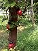 starbluegarden 3pcs Metal Red Ladybug Wall Hanger Wall Hanging Outdoor Garden Decor