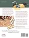 Woodworker's Guide to Handplanes: How to Choose, Set Up, and Master the Most Useful Planes for Today Workshop (Fox Chapel Publishing)