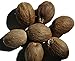 Indus Organics Nutmeg Whole, 1 Lb Jar, Premium Grade, Freshly Packed